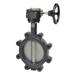 Belimo F6200L+ZD6N-S150 - Butterfly Valve 2 Way 8 in. 3136 Cv ...